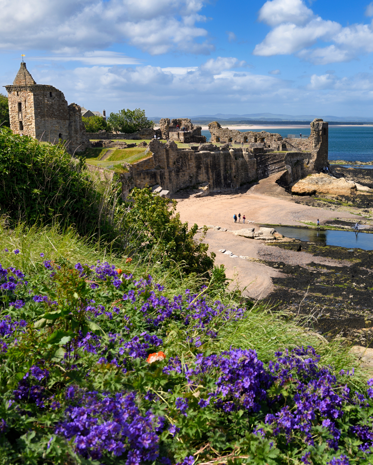 St Andrews Beach