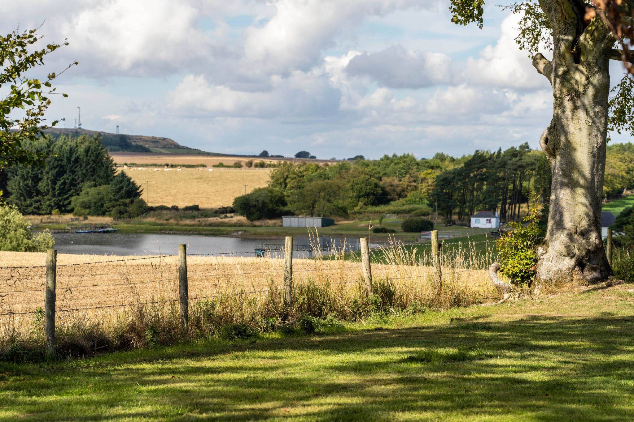 Cameron Loch, St Andrews